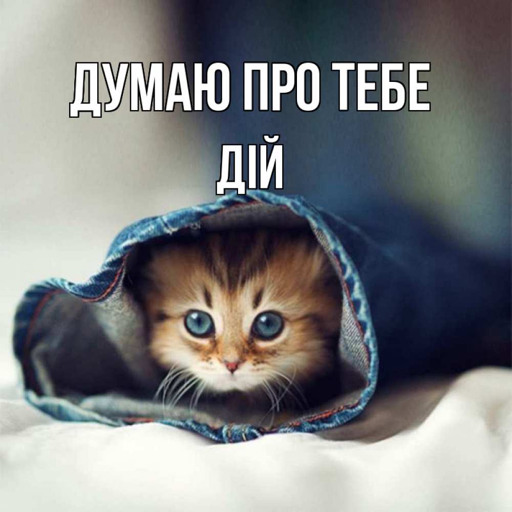 Открытка на каждый день з підписом, Дій Думаю про тебе мне без тебя плохо Прикольна листівка з побажанням онлайн скачати безкоштовно 