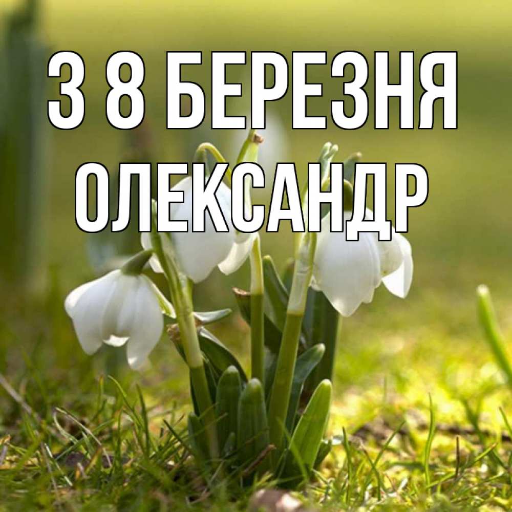 Открытка на каждый день з підписом, Олександр З 8 БЕРЕЗНЯ ранние цветы 2 Прикольна листівка з побажанням онлайн скачати безкоштовно 