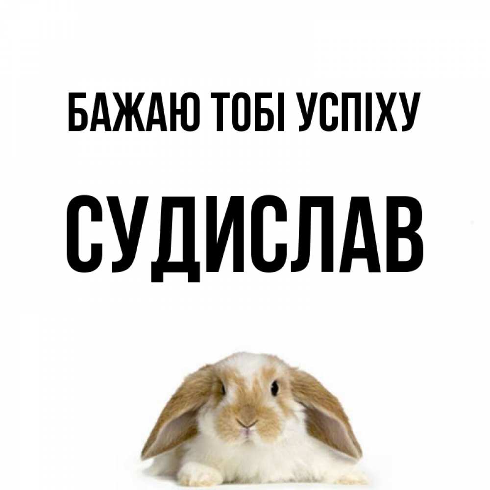 Открытка на каждый день з підписом, Судислав Бажаю тобі успіху открытки с произвольным текстом который можно вставить в открытку и создать ее самостоятельно бесплатно онлайн Прикольна листівка з побажанням онлайн скачати безкоштовно 