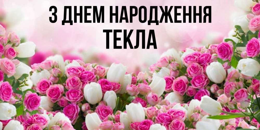 Открытка на каждый день з підписом, Текла З Днем народження открытка с разными розами Прикольна листівка з побажанням онлайн скачати безкоштовно 