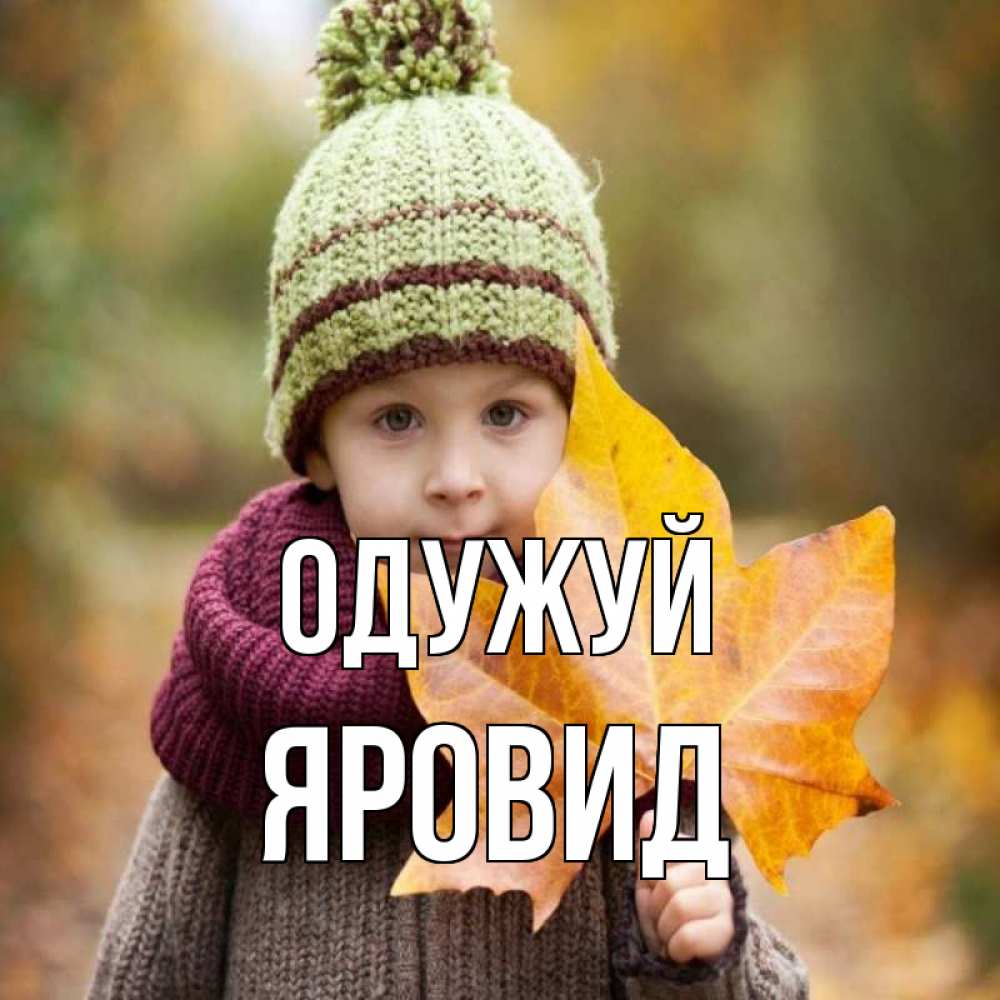 Открытка на каждый день з підписом, Яровид Одужуй дышим свежим воздухом Прикольна листівка з побажанням онлайн скачати безкоштовно 