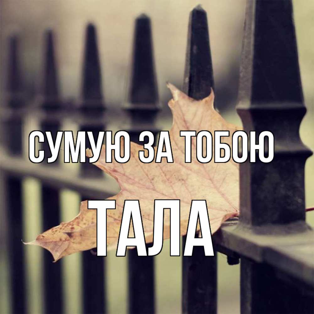 Открытка на каждый день з підписом, Тала Сумую за тобою очень скучно Прикольна листівка з побажанням онлайн скачати безкоштовно 