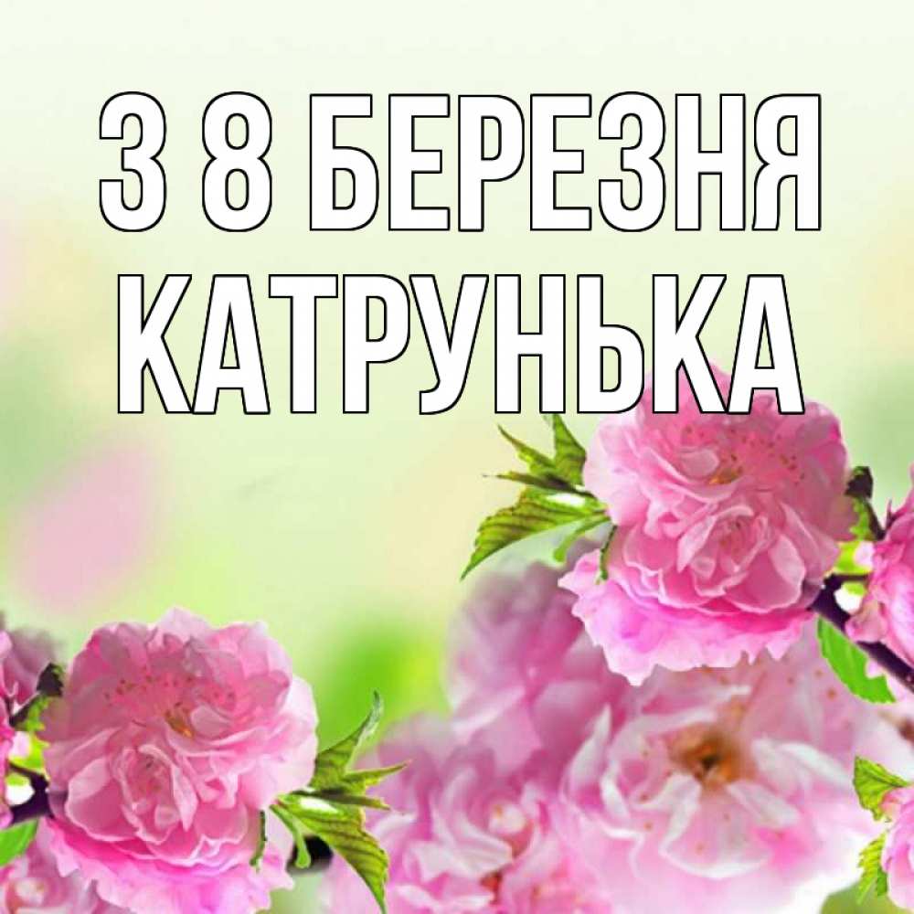 Открытка на каждый день з підписом, Катрунька З 8 БЕРЕЗНЯ цветы Прикольна листівка з побажанням онлайн скачати безкоштовно 