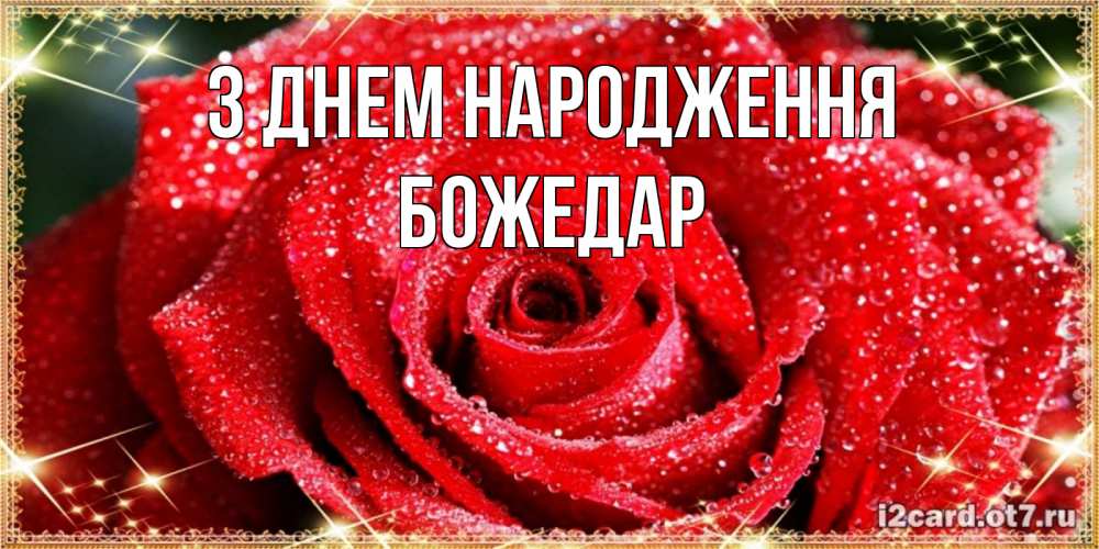 Открытка на каждый день з підписом, Божедар З Днем народження роса и роза. открытка с красивой розой Прикольна листівка з побажанням онлайн скачати безкоштовно 