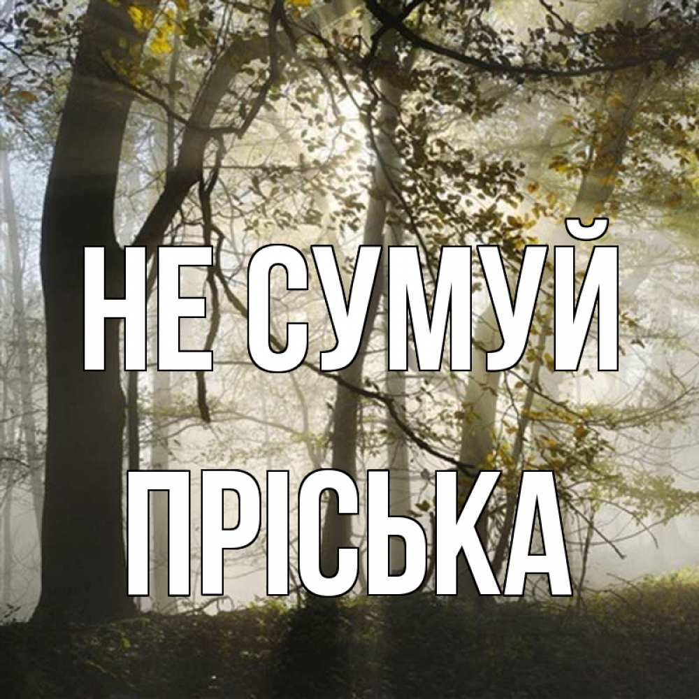 Открытка на каждый день з підписом, Пріська Не сумуй лес и свет Прикольна листівка з побажанням онлайн скачати безкоштовно 