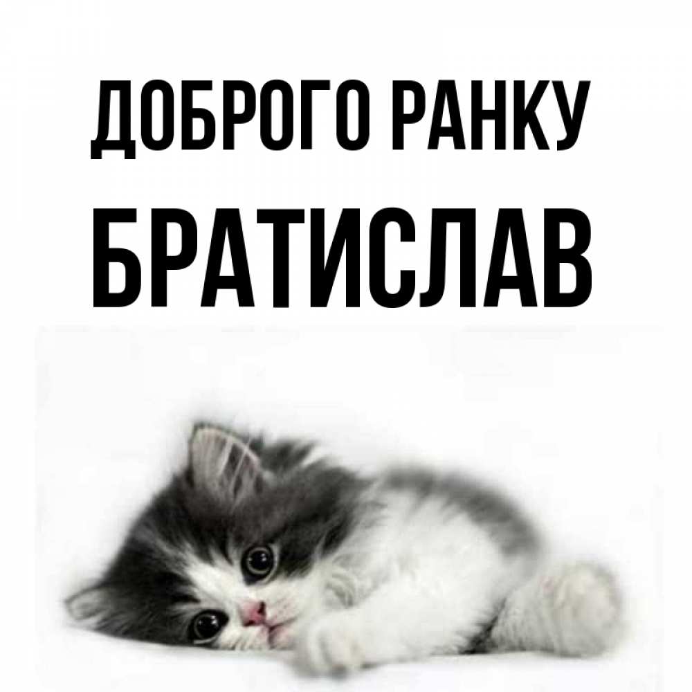 Открытка на каждый день з підписом, Братислав Доброго ранку кот лапки Прикольна листівка з побажанням онлайн скачати безкоштовно 
