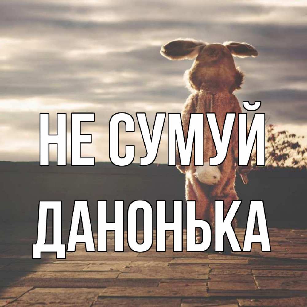 Открытка на каждый день з підписом, Данонька Не сумуй со спины Прикольна листівка з побажанням онлайн скачати безкоштовно 