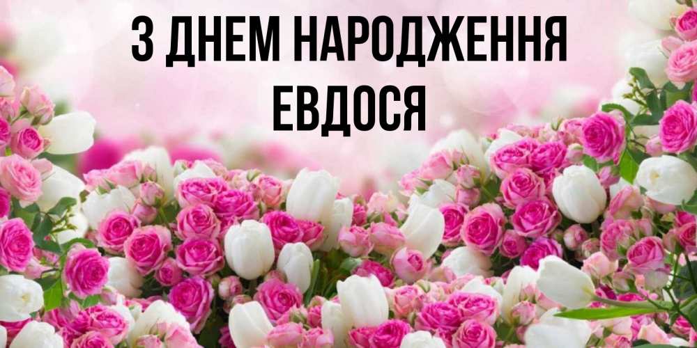 Открытка на каждый день з підписом, Евдося З Днем народження открытка с разными розами Прикольна листівка з побажанням онлайн скачати безкоштовно 