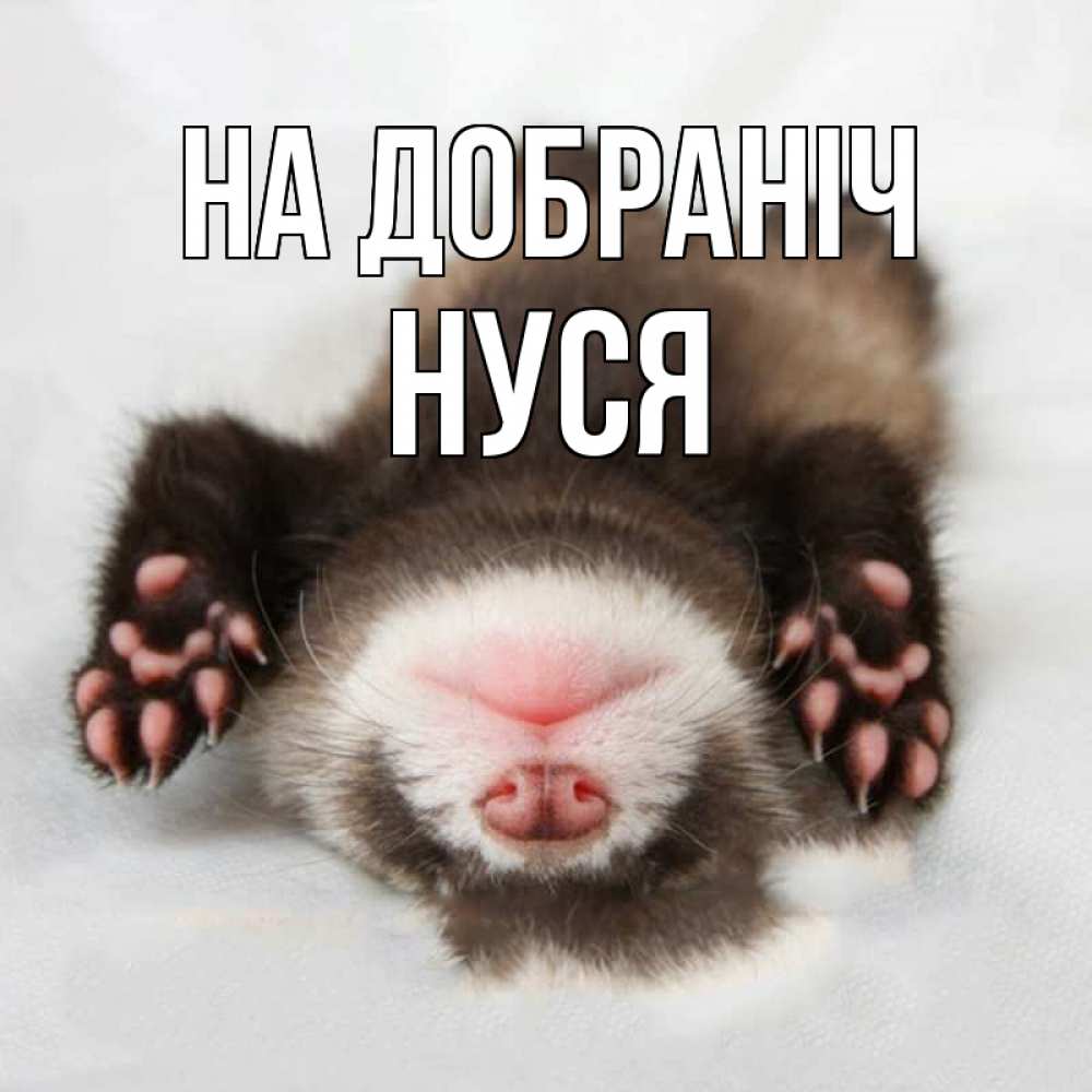 Открытка на каждый день з підписом, Нуся На добраніч зверек Прикольна листівка з побажанням онлайн скачати безкоштовно 