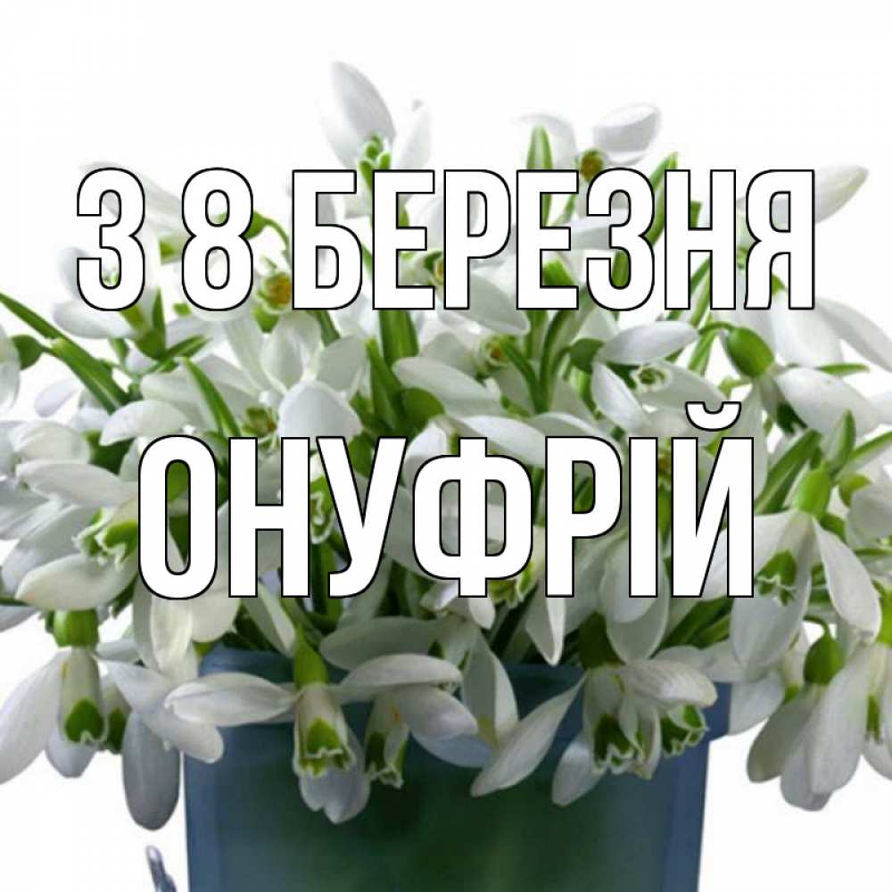 Открытка на каждый день з підписом, Онуфрій З 8 БЕРЕЗНЯ цветы к международному женскому дню Прикольна листівка з побажанням онлайн скачати безкоштовно 