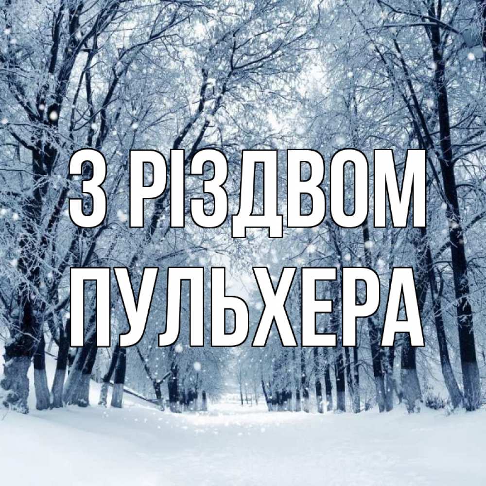 Открытка на каждый день з підписом, Пульхера З Різдвом снег, лес, парк Прикольна листівка з побажанням онлайн скачати безкоштовно 