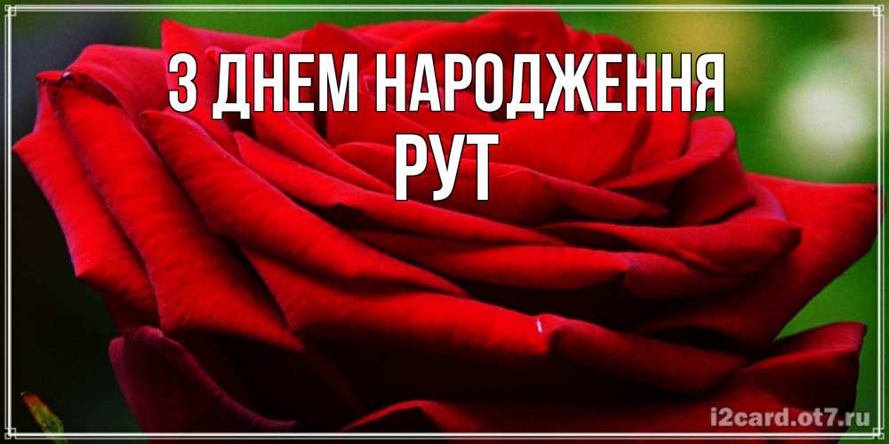 Открытка на каждый день з підписом, Рут З Днем народження розочка очень красивая Прикольна листівка з побажанням онлайн скачати безкоштовно 
