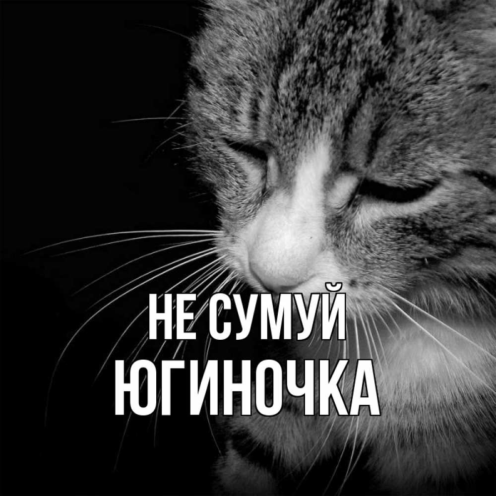 Открытка на каждый день з підписом, Югиночка Не сумуй грустный котик Прикольна листівка з побажанням онлайн скачати безкоштовно 