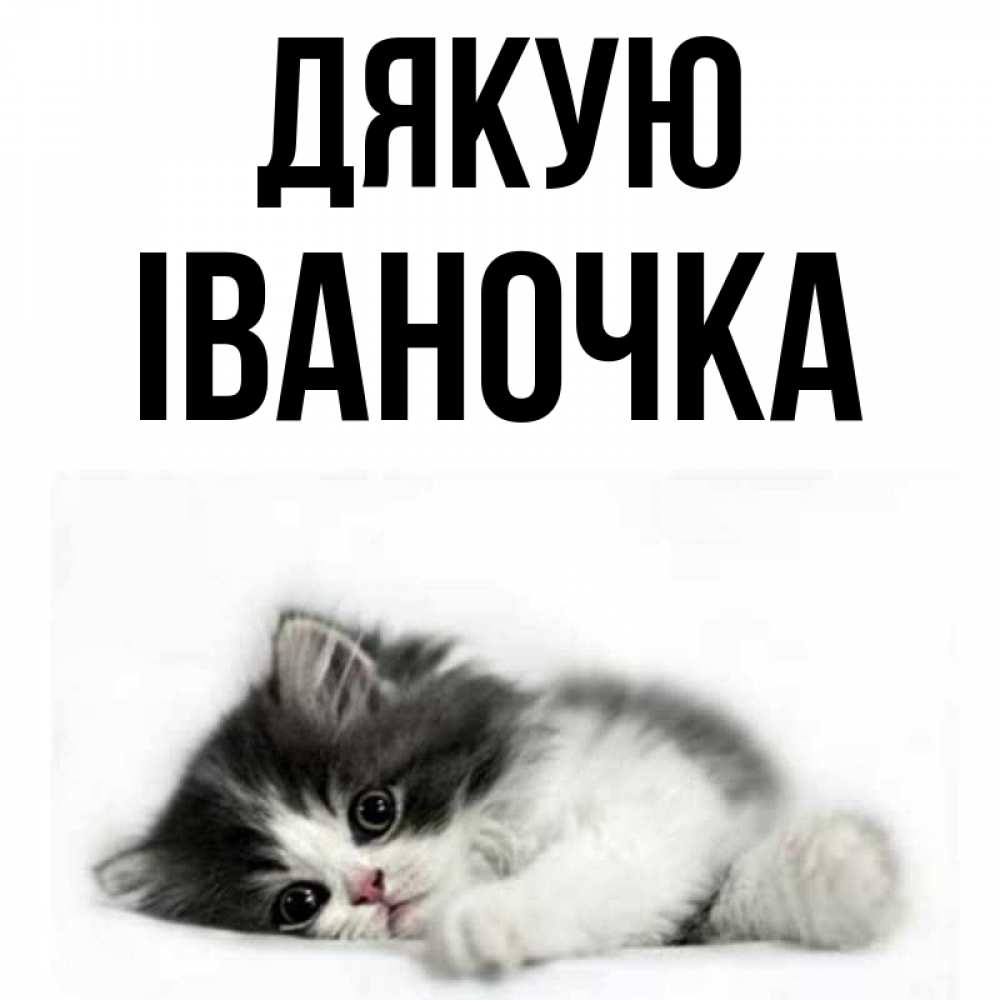 Открытка на каждый день з підписом, Іваночка Дякую черный и белый кот Прикольна листівка з побажанням онлайн скачати безкоштовно 