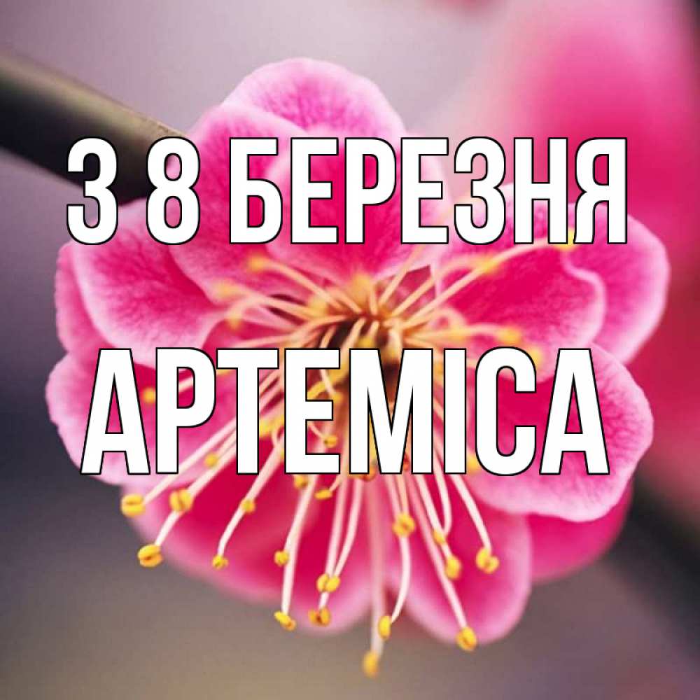 Открытка на каждый день з підписом, Артеміса З 8 БЕРЕЗНЯ цветы Прикольна листівка з побажанням онлайн скачати безкоштовно 