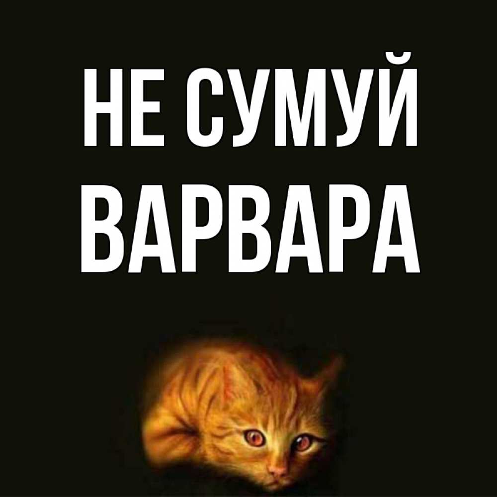 Открытка на каждый день з підписом, Варвара Не сумуй лежащий кот в темноте Прикольна листівка з побажанням онлайн скачати безкоштовно 