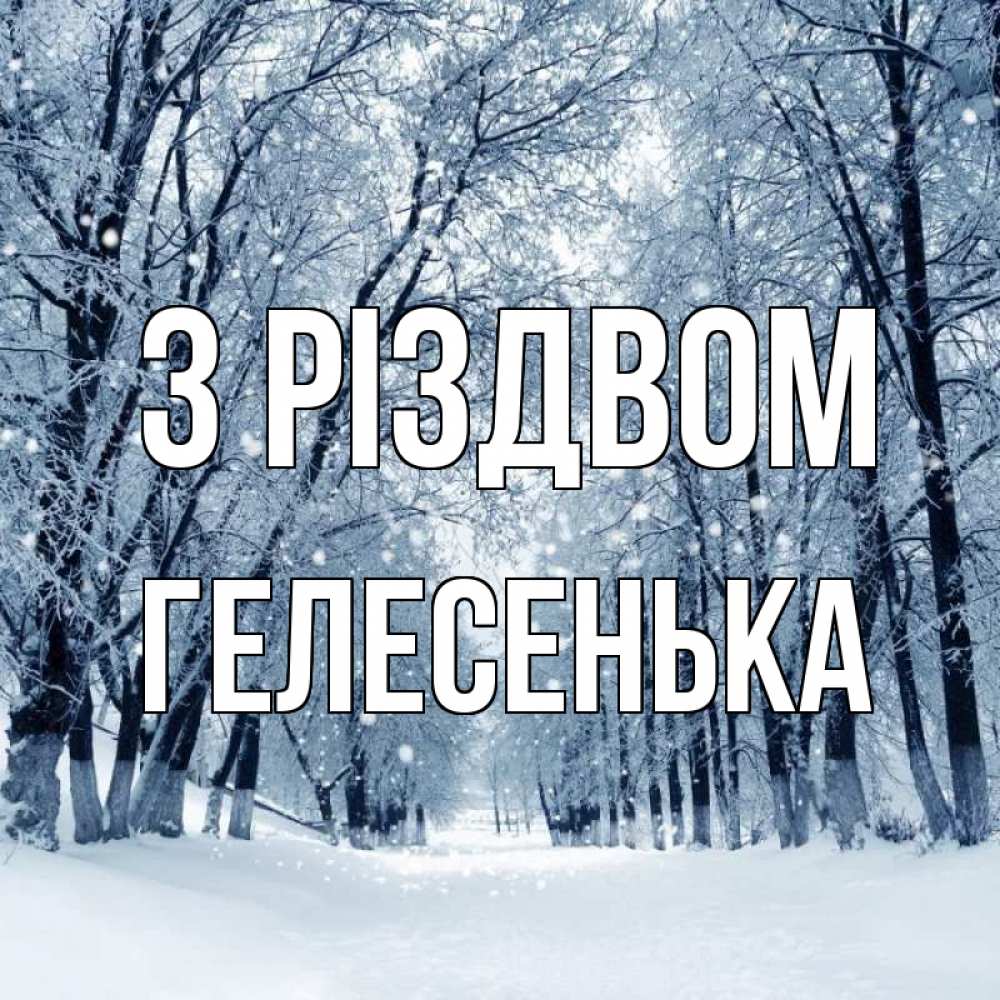 Открытка на каждый день з підписом, Гелесенька З Різдвом снег, лес, парк Прикольна листівка з побажанням онлайн скачати безкоштовно 