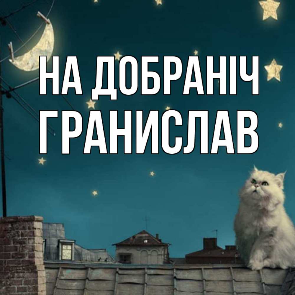 Открытка на каждый день з підписом, Гранислав На добраніч белый кот сидит на крыше Прикольна листівка з побажанням онлайн скачати безкоштовно 