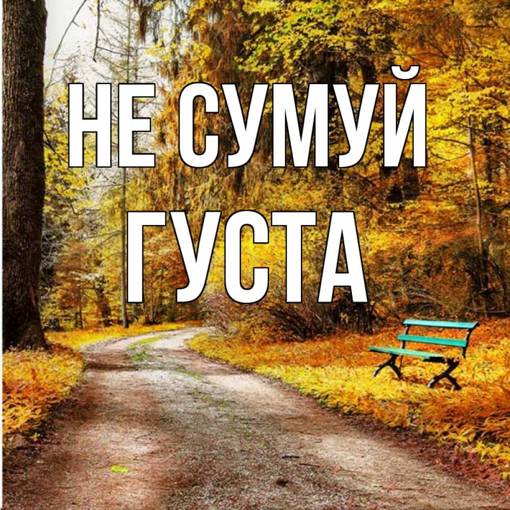 Открытка на каждый день з підписом, Густа Не сумуй зеленая лавочка Прикольна листівка з побажанням онлайн скачати безкоштовно 