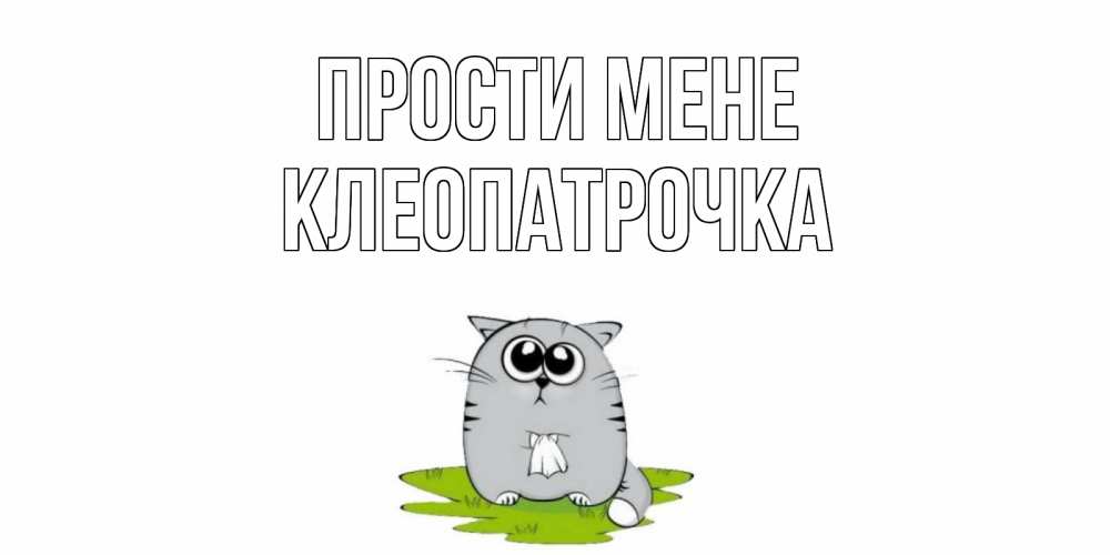 Открытка на каждый день з підписом, Клеопатрочка Прости мене открытка с котиком просящим прощения Прикольна листівка з побажанням онлайн скачати безкоштовно 
