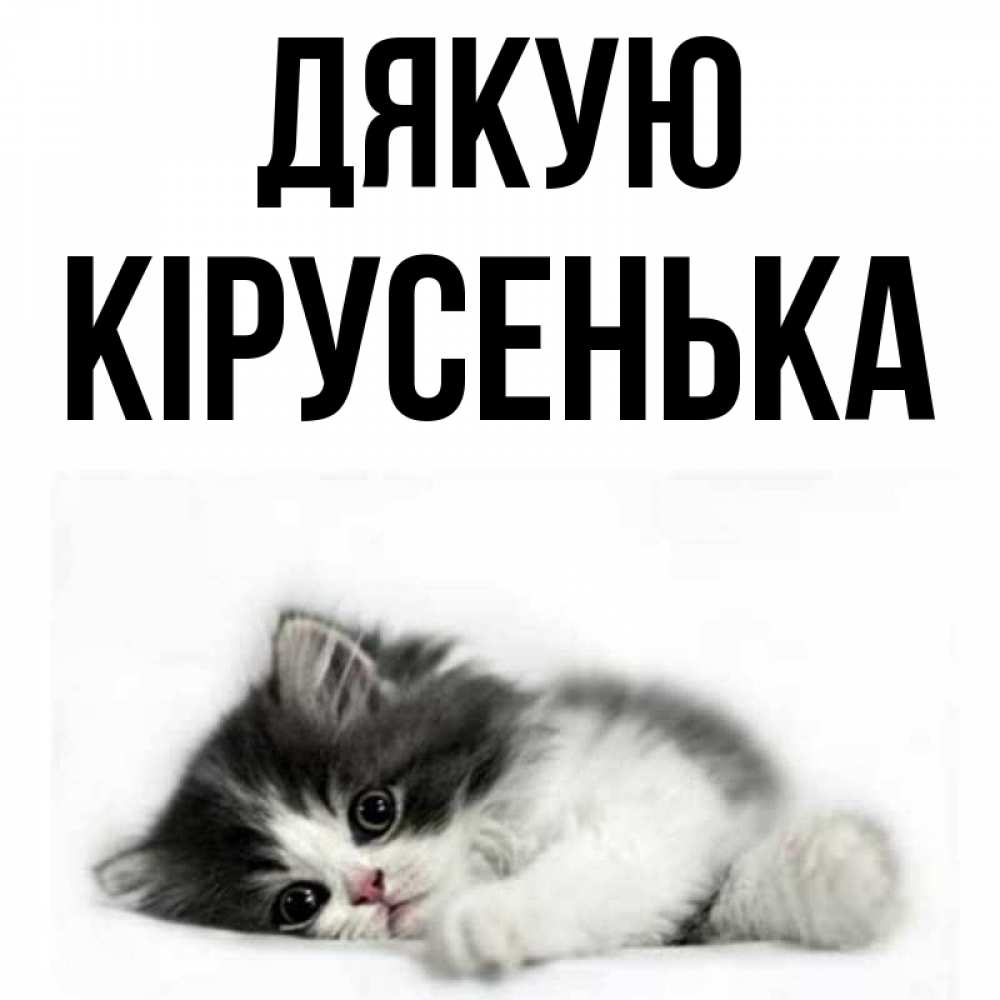 Открытка на каждый день з підписом, Кірусенька Дякую черный и белый кот Прикольна листівка з побажанням онлайн скачати безкоштовно 