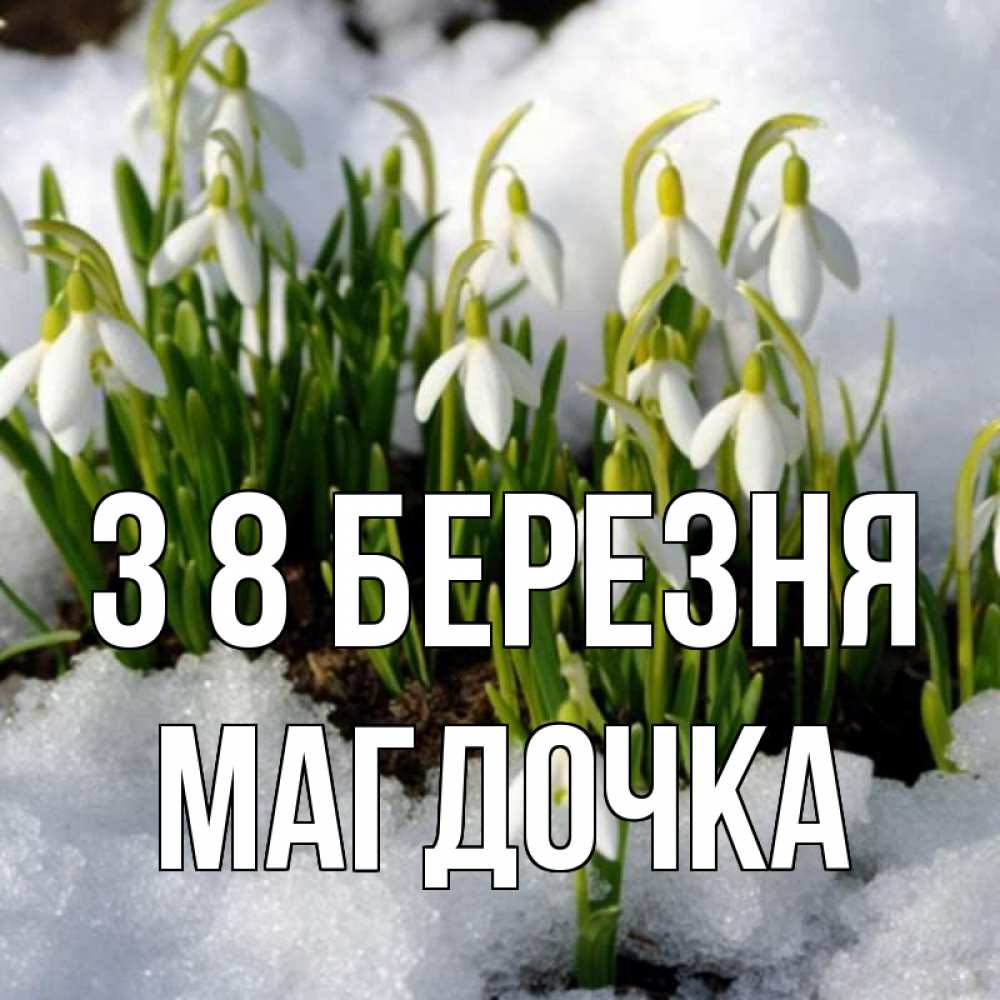 Открытка на каждый день з підписом, Магдочка З 8 БЕРЕЗНЯ цветы весенние Прикольна листівка з побажанням онлайн скачати безкоштовно 