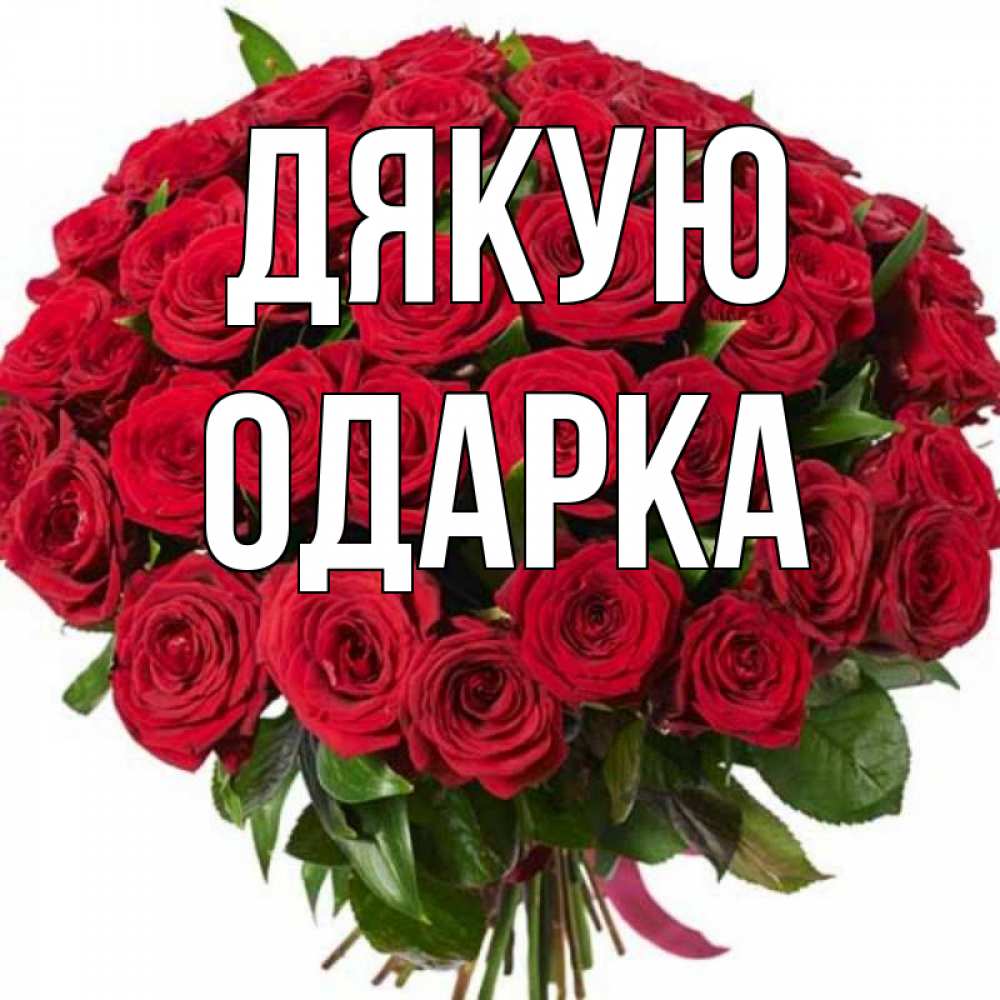 Открытка на каждый день з підписом, Одарка Дякую букет красных роз Прикольна листівка з побажанням онлайн скачати безкоштовно 