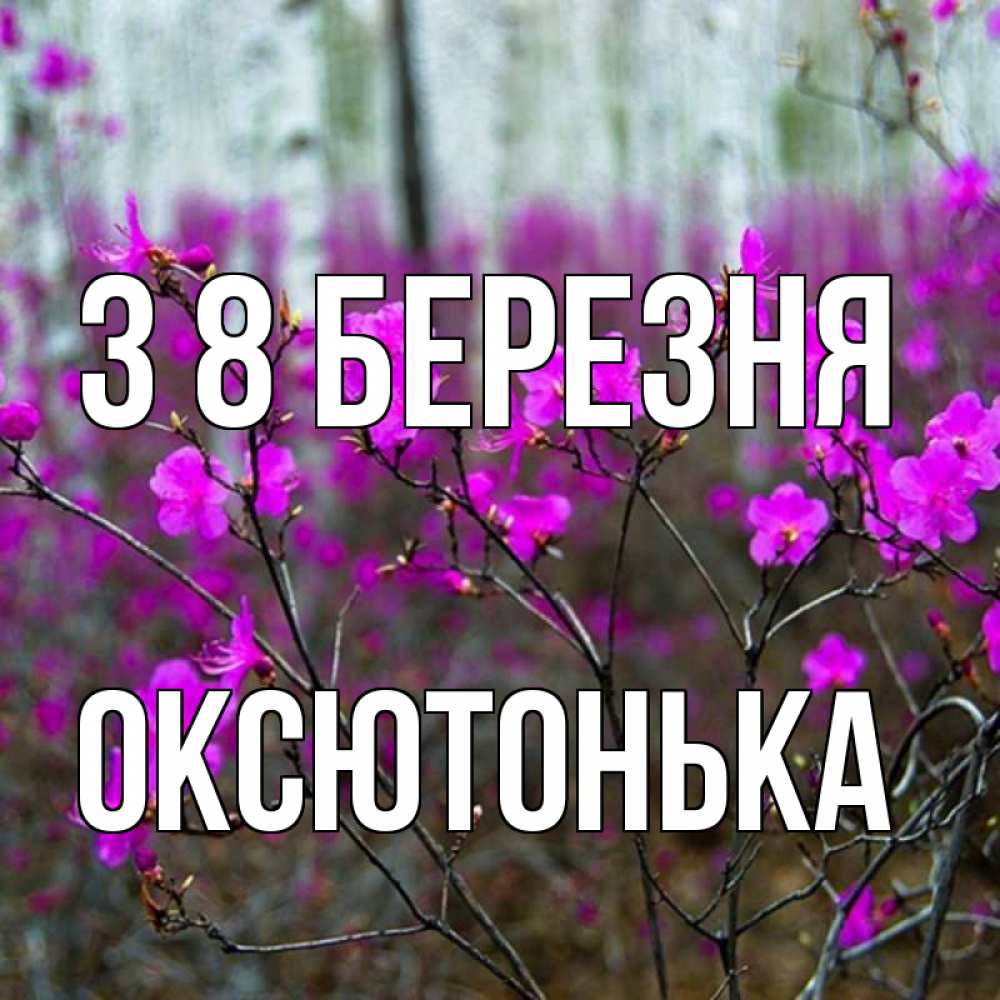 Открытка на каждый день з підписом, Оксютонька З 8 БЕРЕЗНЯ дикие цветы Прикольна листівка з побажанням онлайн скачати безкоштовно 