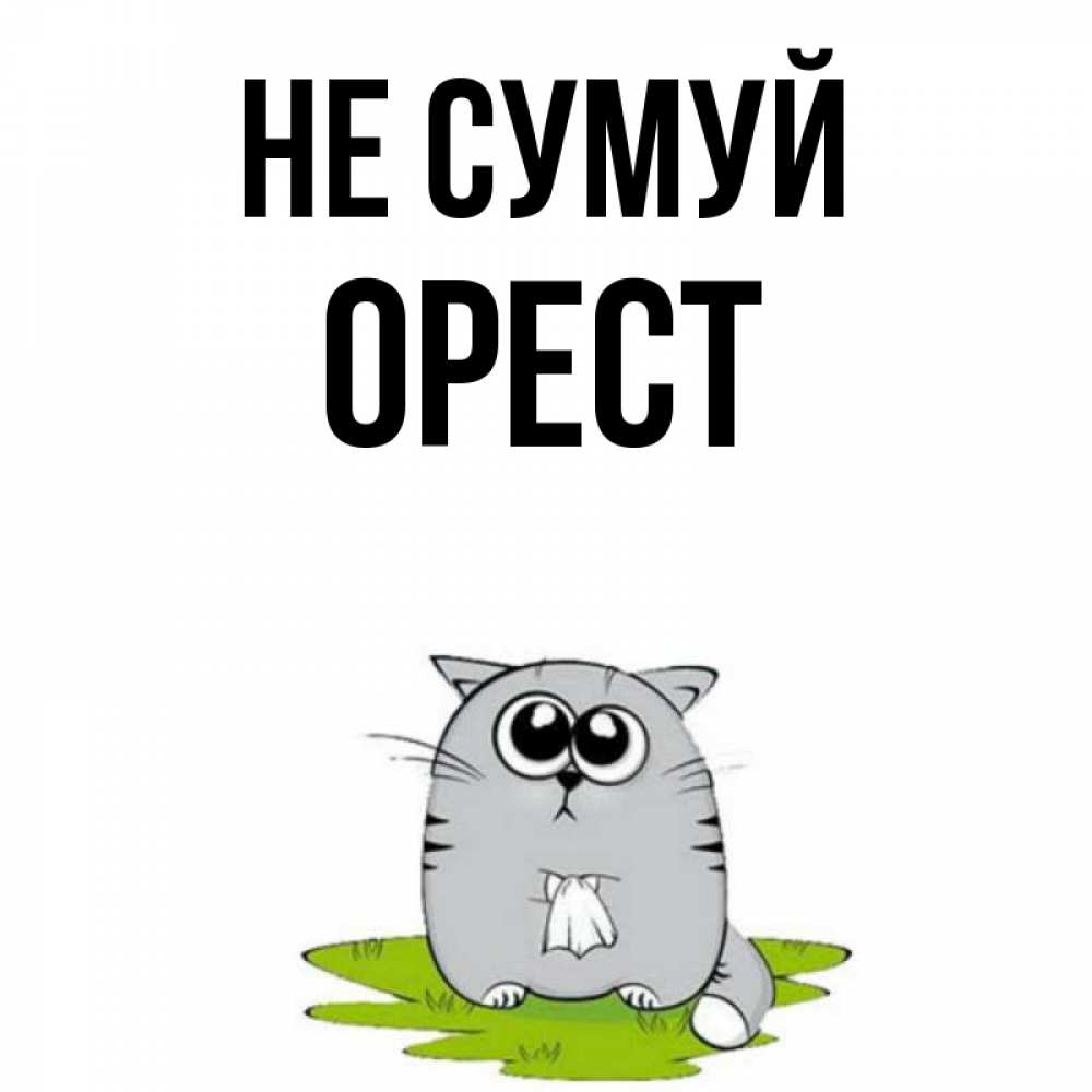 Открытка на каждый день з підписом, Орест Не сумуй грустный котяра Прикольна листівка з побажанням онлайн скачати безкоштовно 
