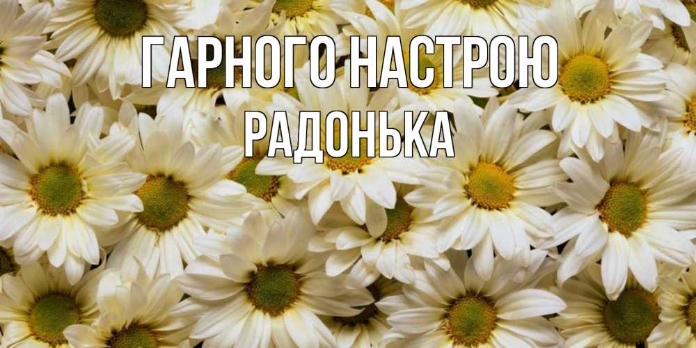 Открытка на каждый день з підписом, Радонька Гарного настрою крупные ромашки Прикольна листівка з побажанням онлайн скачати безкоштовно 