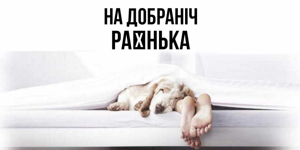 Открытка на каждый день з підписом, Раєнька На добраніч кровать с собакой пожелание сладких снов и спокойной ночи Прикольна листівка з побажанням онлайн скачати безкоштовно 