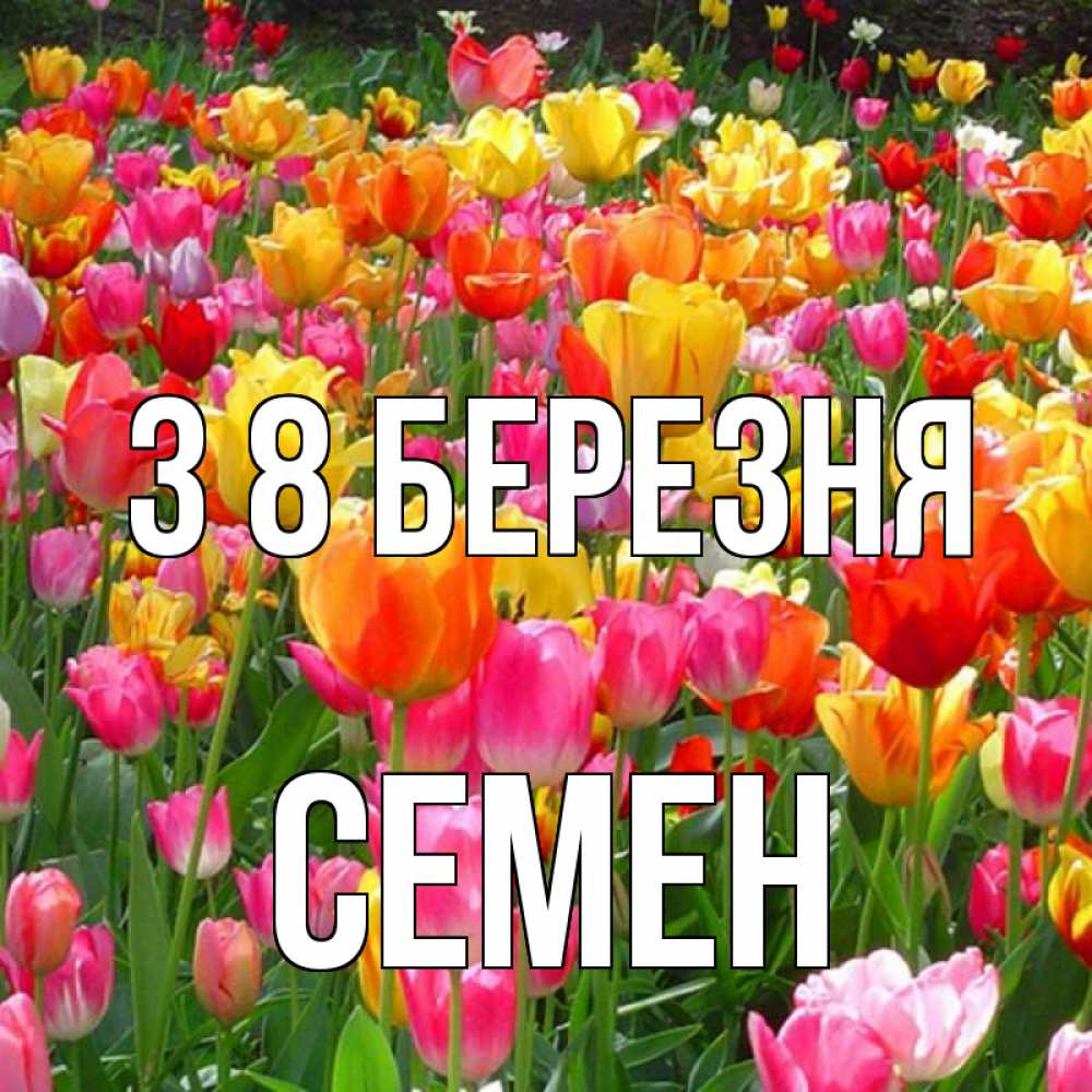 Открытка на каждый день з підписом, Семен З 8 БЕРЕЗНЯ на международный женский день Прикольна листівка з побажанням онлайн скачати безкоштовно 