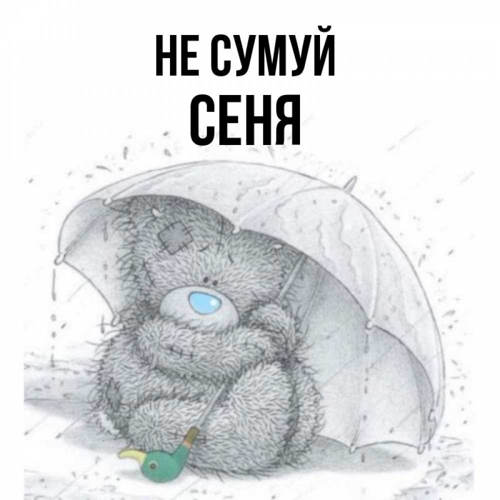 Открытка на каждый день з підписом, Сеня Не сумуй спасите мишку Тедди Прикольна листівка з побажанням онлайн скачати безкоштовно 