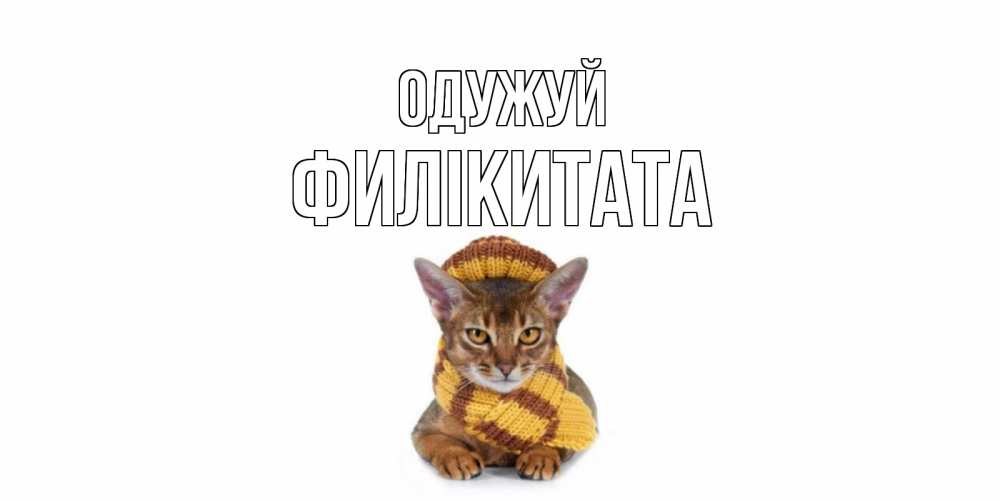 Открытка на каждый день з підписом, Филікитата Одужуй родные не болейте Прикольна листівка з побажанням онлайн скачати безкоштовно 