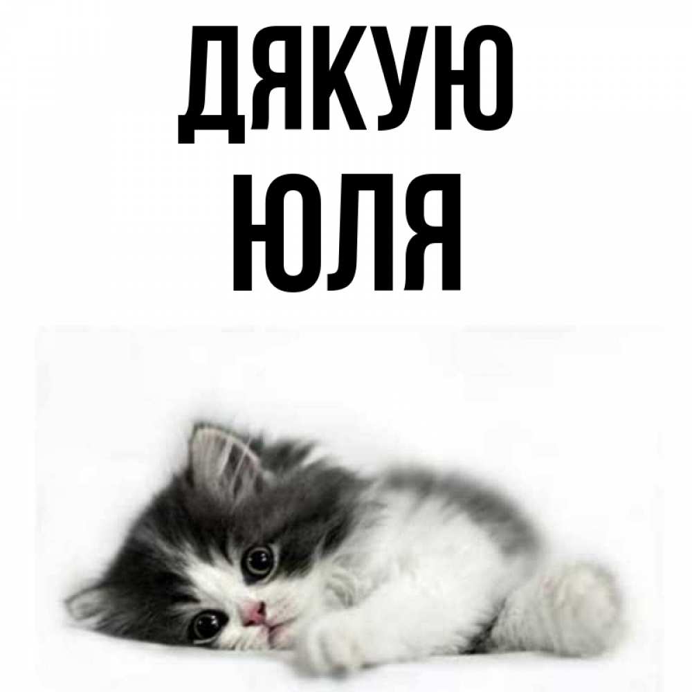 Открытка на каждый день з підписом, Юля Дякую черный и белый кот Прикольна листівка з побажанням онлайн скачати безкоштовно 