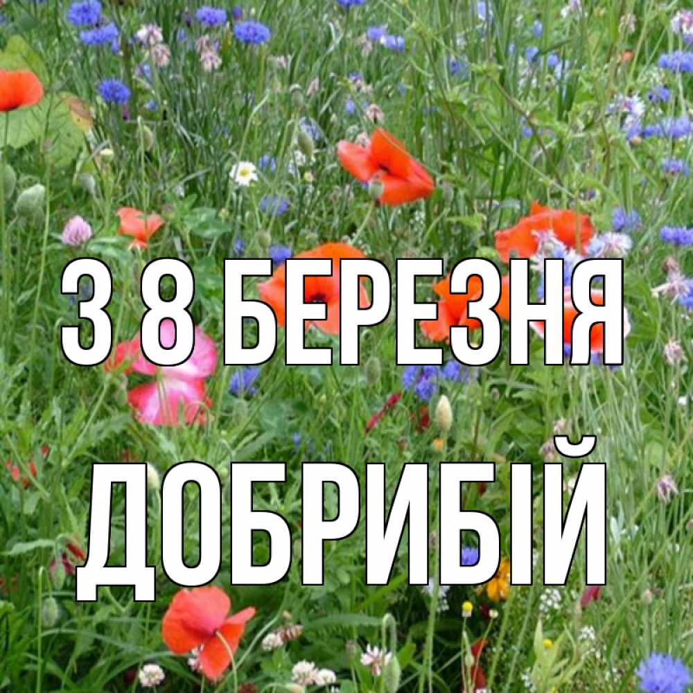 Открытка на каждый день з підписом, Добрибій З 8 БЕРЕЗНЯ международный женский день 4 Прикольна листівка з побажанням онлайн скачати безкоштовно 