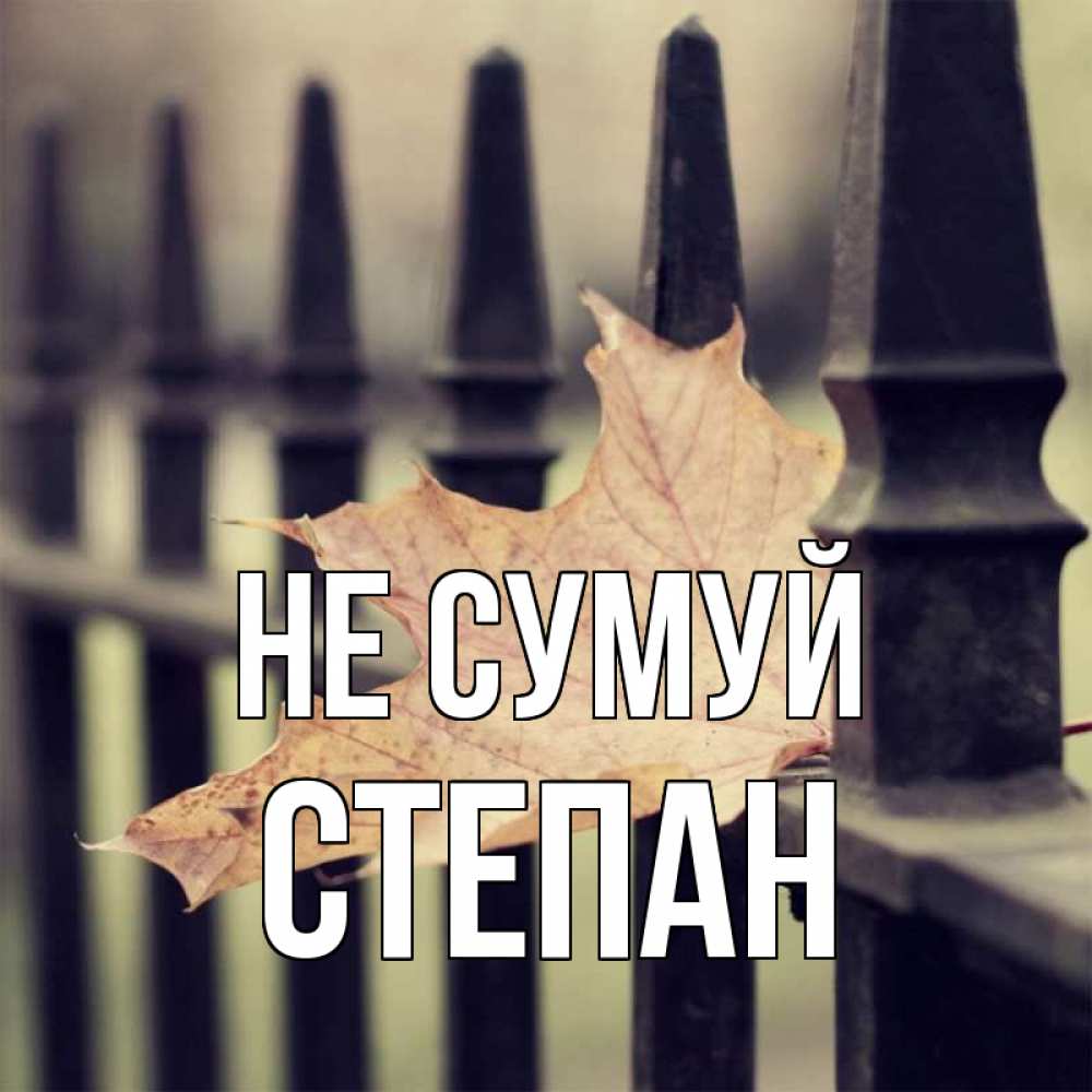 Открытка на каждый день з підписом, Степан Не сумуй лист клена Прикольна листівка з побажанням онлайн скачати безкоштовно 