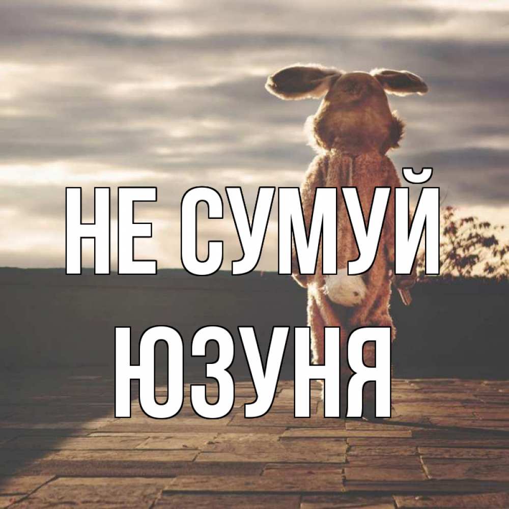 Открытка на каждый день з підписом, Юзуня Не сумуй со спины Прикольна листівка з побажанням онлайн скачати безкоштовно 