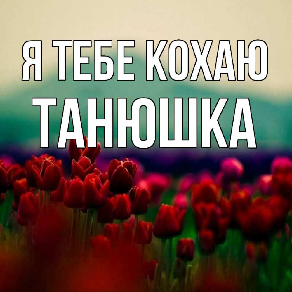 Открытка на каждый день з підписом, Танюшка Я тебе кохаю тюльпаны 4 Прикольна листівка з побажанням онлайн скачати безкоштовно 