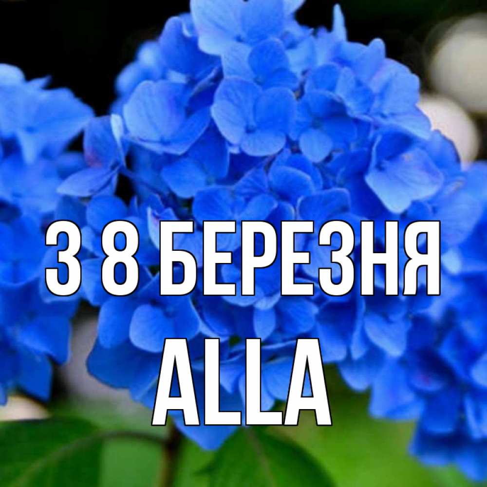 Открытка на каждый день з підписом, Alla З 8 БЕРЕЗНЯ синие цветы Прикольна листівка з побажанням онлайн скачати безкоштовно 