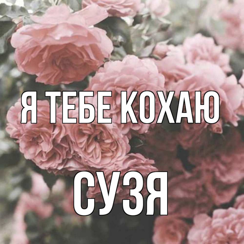 Открытка на каждый день з підписом, Сузя Я тебе кохаю розы 3 Прикольна листівка з побажанням онлайн скачати безкоштовно 