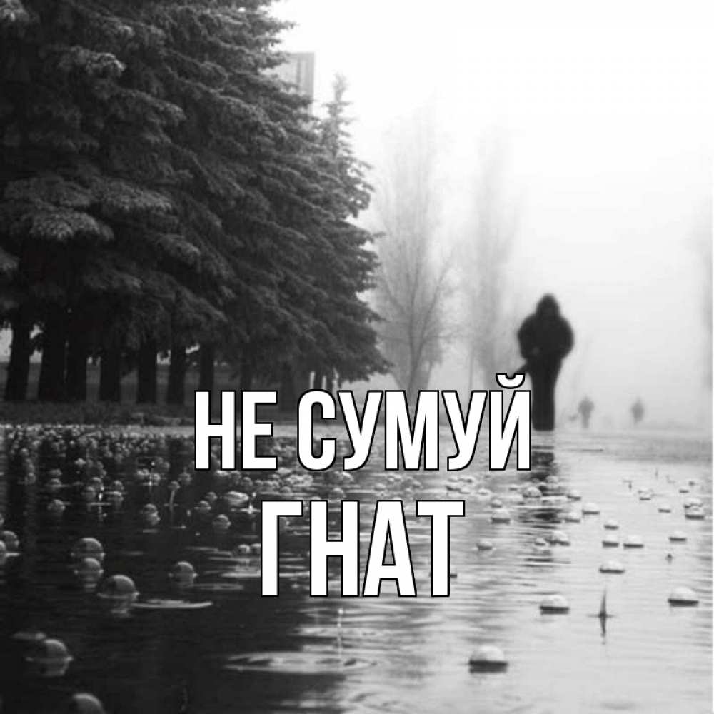 Открытка на каждый день з підписом, Гнат Не сумуй улица под дождем Прикольна листівка з побажанням онлайн скачати безкоштовно 