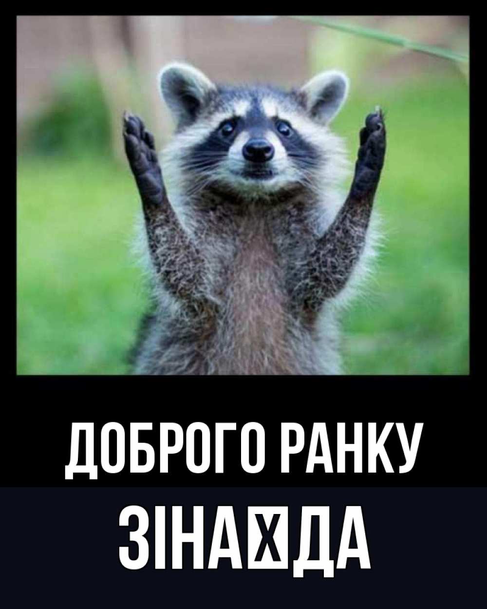 Открытка на каждый день з підписом, Зінаїда Доброго ранку хорошее настроение утречком Прикольна листівка з побажанням онлайн скачати безкоштовно 