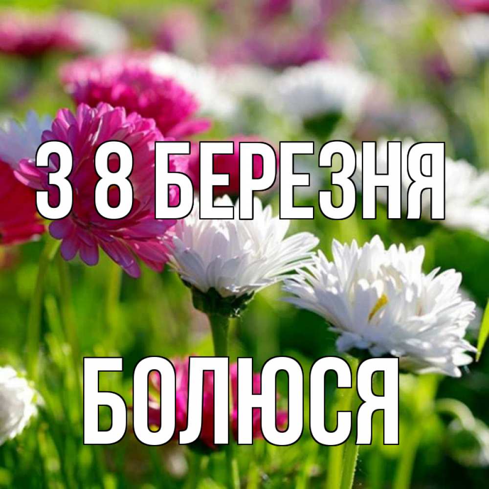 Открытка на каждый день з підписом, Болюся З 8 БЕРЕЗНЯ международный женский день 1 Прикольна листівка з побажанням онлайн скачати безкоштовно 