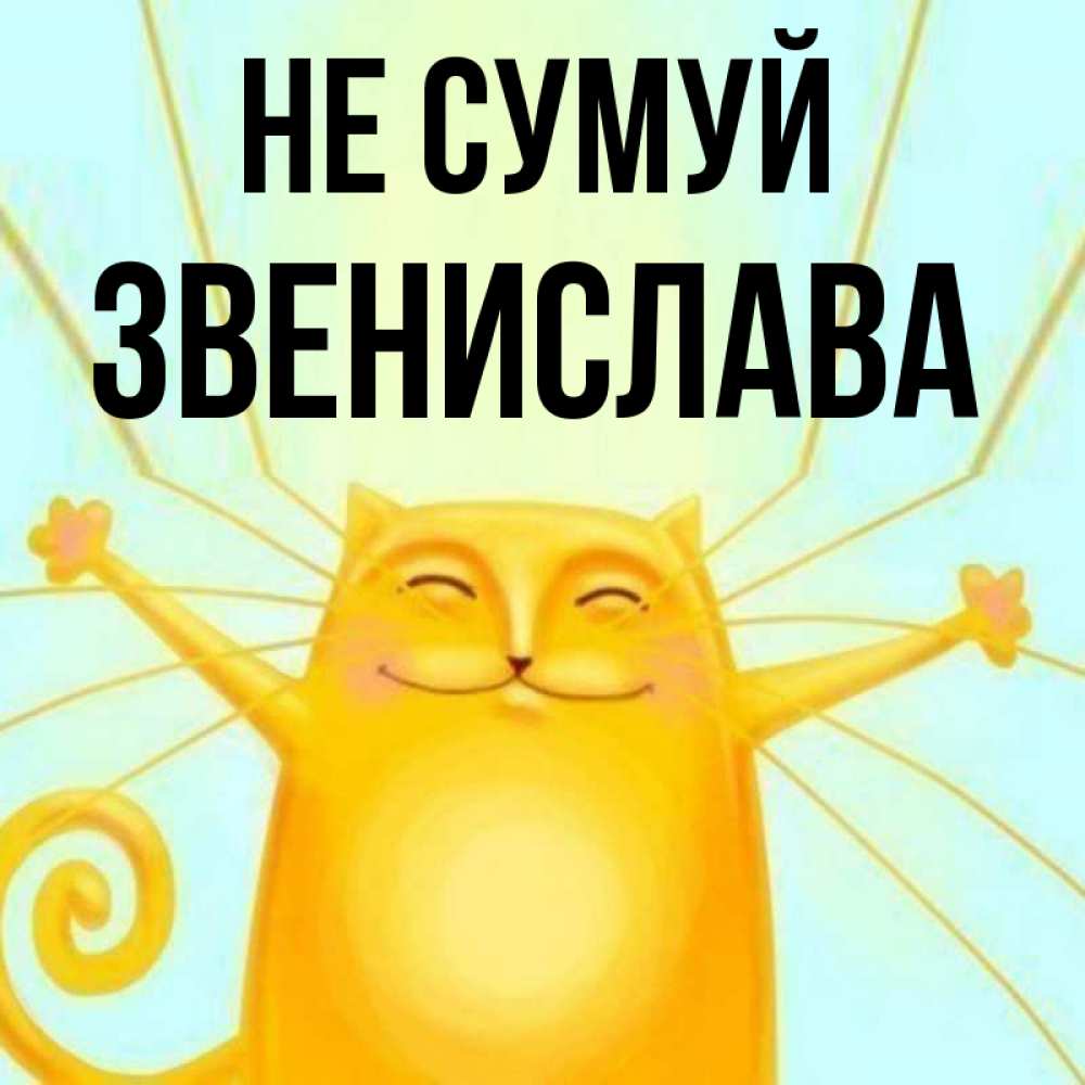 Открытка на каждый день з підписом, Звенислава Не сумуй обнимашки усатые Прикольна листівка з побажанням онлайн скачати безкоштовно 
