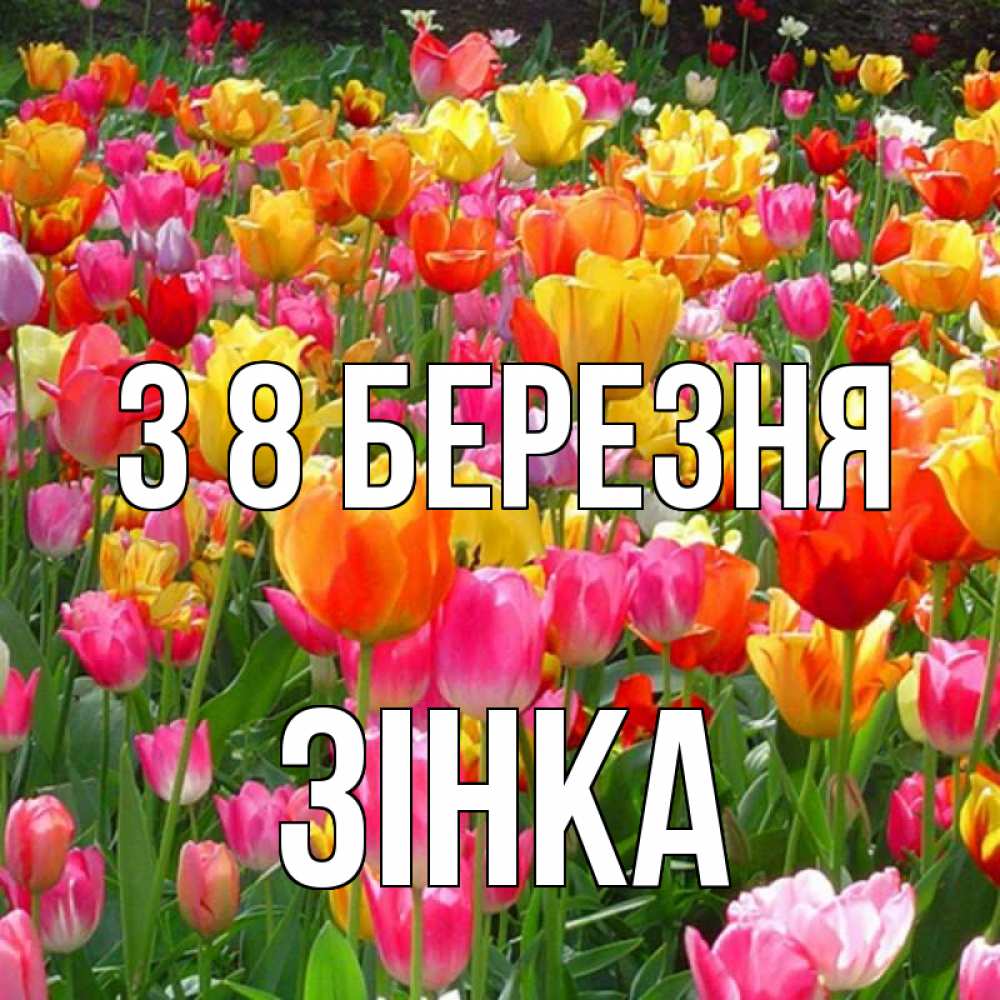 Открытка на каждый день з підписом, Зінка З 8 БЕРЕЗНЯ на международный женский день Прикольна листівка з побажанням онлайн скачати безкоштовно 