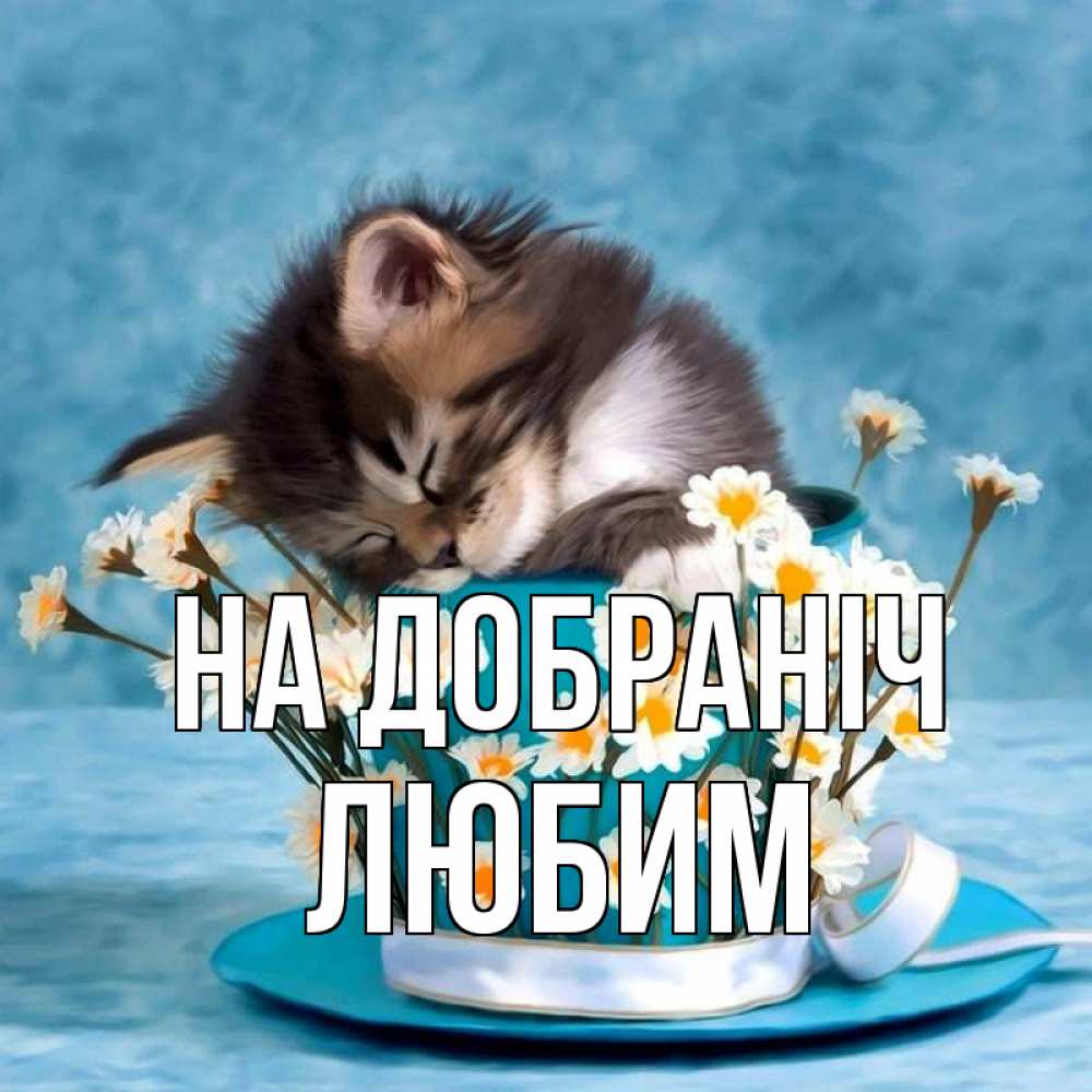 Открытка на каждый день з підписом, Любим На добраніч котенок спит в кружке с блюдцем Прикольна листівка з побажанням онлайн скачати безкоштовно 