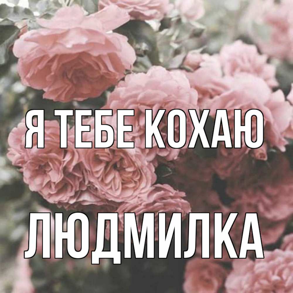Открытка на каждый день з підписом, Людмилка Я тебе кохаю розы 3 Прикольна листівка з побажанням онлайн скачати безкоштовно 