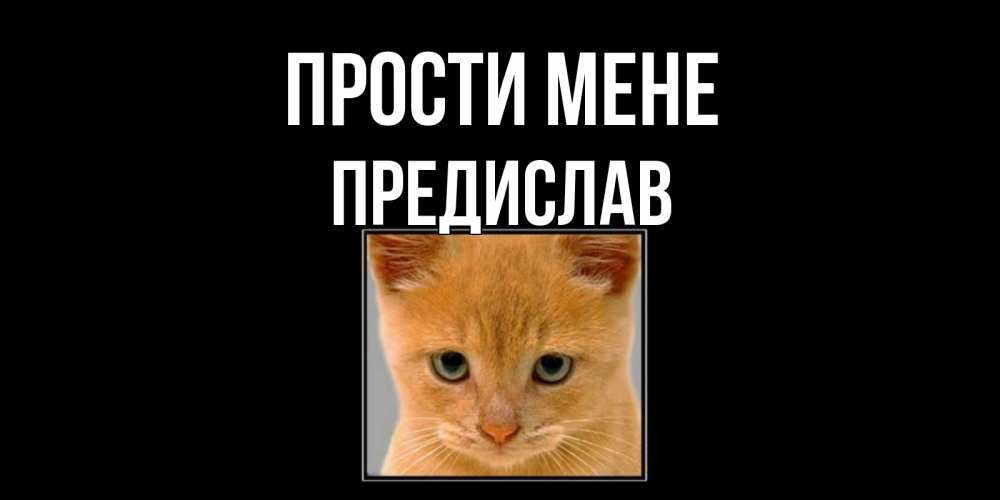Открытка на каждый день з підписом, Предислав Прости мене рыжий грустный кот просит прощения Прикольна листівка з побажанням онлайн скачати безкоштовно 