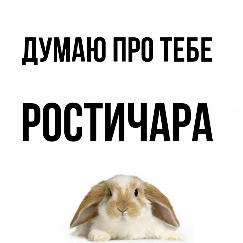 Открытка на каждый день з підписом, Ростичара Думаю про тебе подписать своими руками онлайн Прикольна листівка з побажанням онлайн скачати безкоштовно 